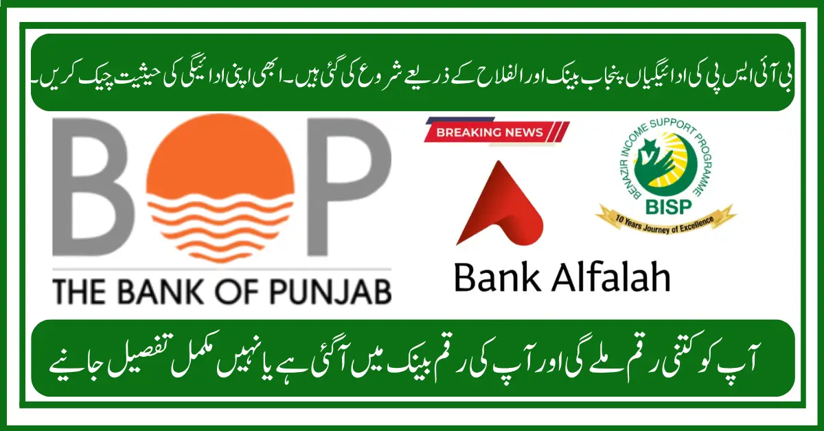 Step-by-Step BISP November Withdrawal from Punjab Bank, Alfalah, Easypaisa & JazzCash